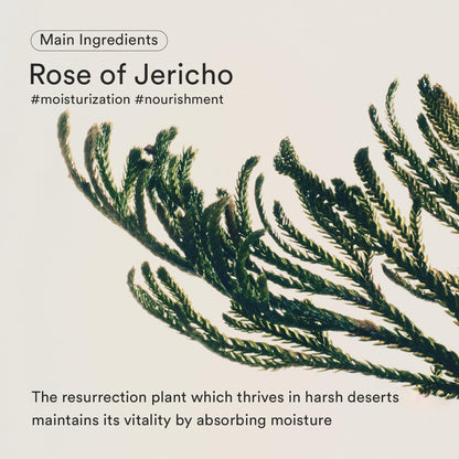 [ABIB] JERICHO ROSE BIFIDA SERUM FIRMING DROP 50ml