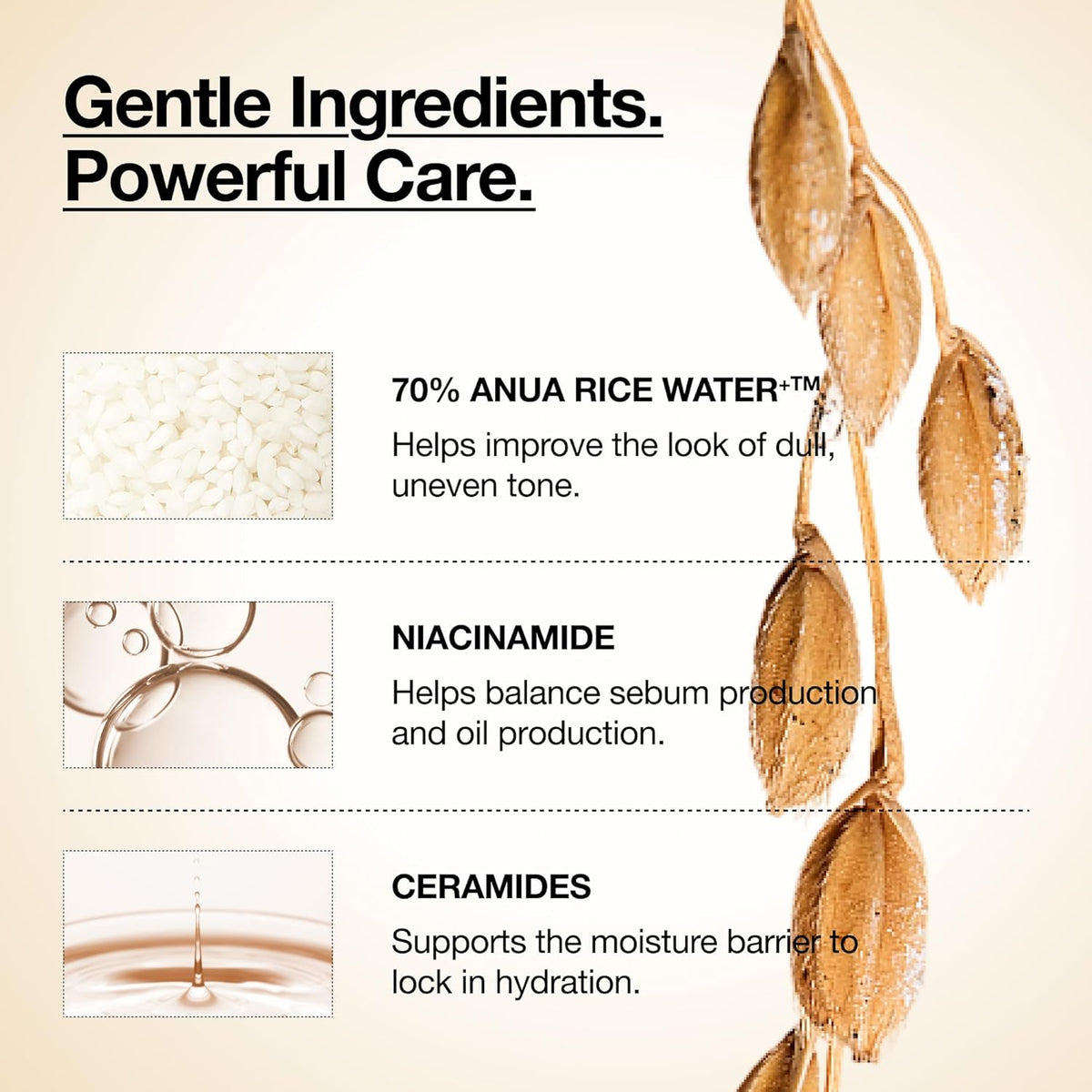 [ANUA] RICE 70 GLOW MILKY TONER 250ml