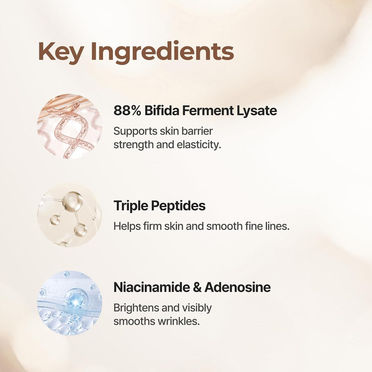 [Isntree] TW-Real Bifida Ampoule 50ml